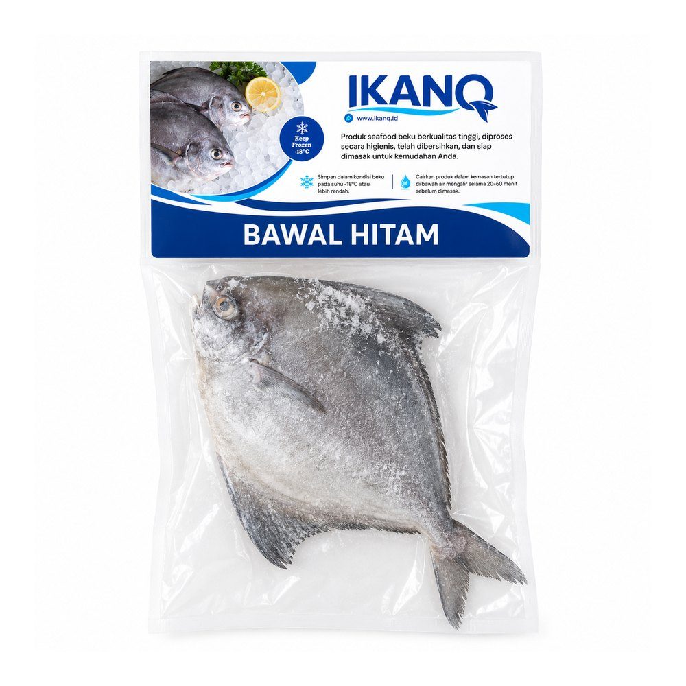 Bawal Hitam A