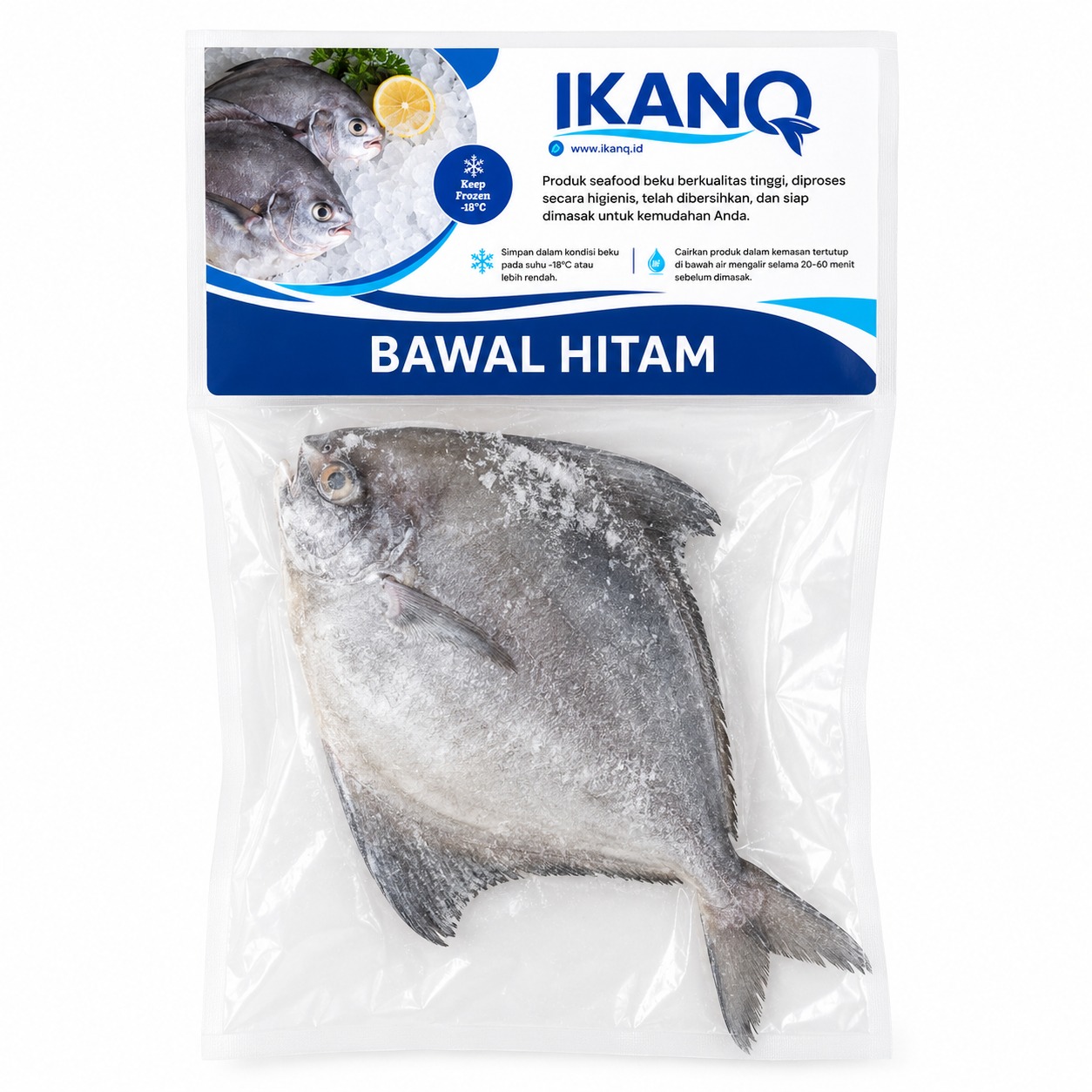 Bawal Hitam B