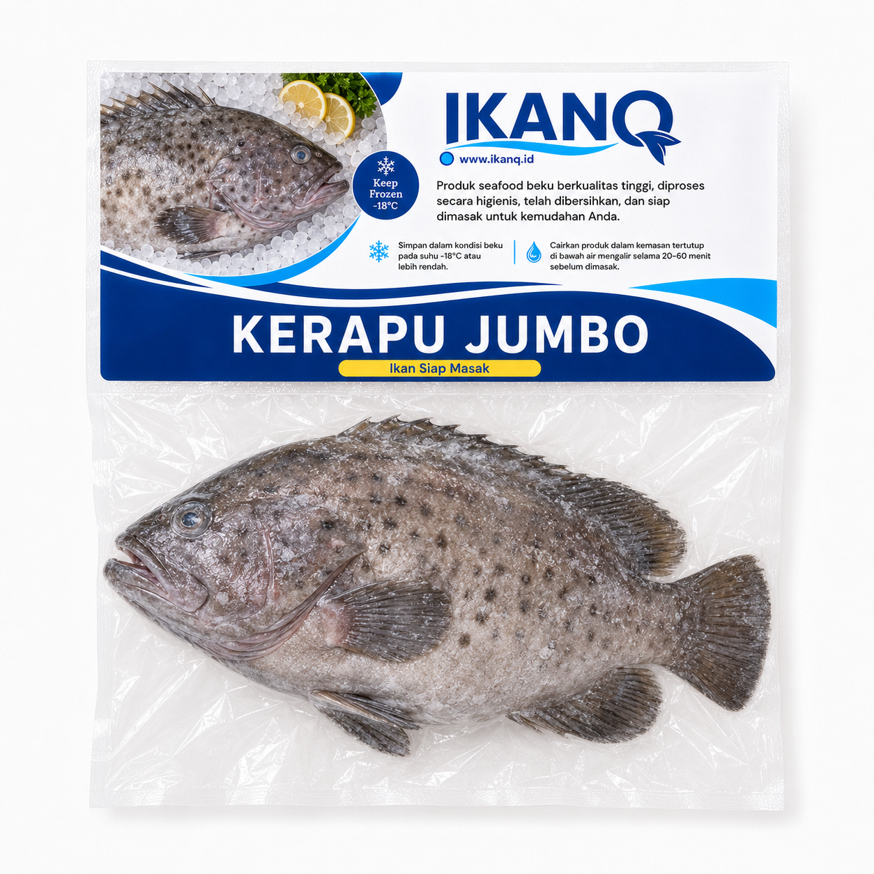 Kerapu Jumbo
