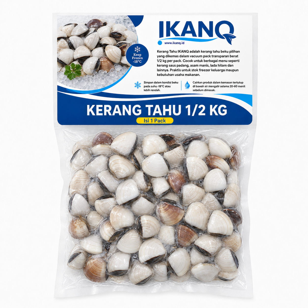 Kerang Tahu 1/2 Kg